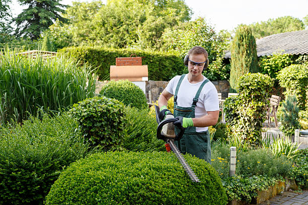 Best Lawn Watering Services  in Waterloo, WI